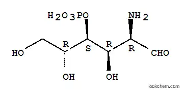 Molecular Structure of 109515-01-7 (glucosamine 4-phosphate)