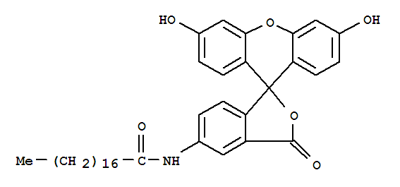 5-(Octadecanoylamino)flurorescein