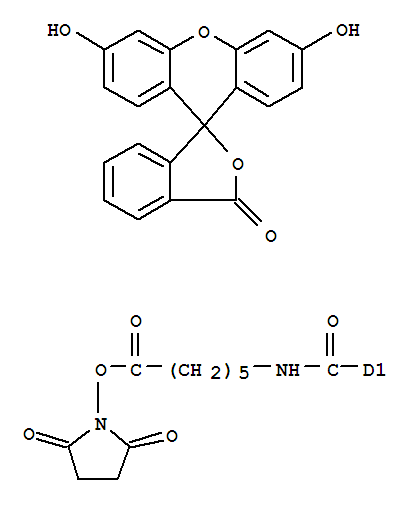 FLUORESCEIN-5(6)-CARBOXAMIDOCAPROIC ACID N-SUCCINIMIDYL ESTER