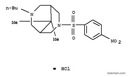 Molecular Structure of 120465-86-3 (3-butyl-9,9-dimethyl-7-[(4-nitrophenyl)sulfonyl]-3,7-diazabicyclo[3.3.1]nonane hydrochloride)