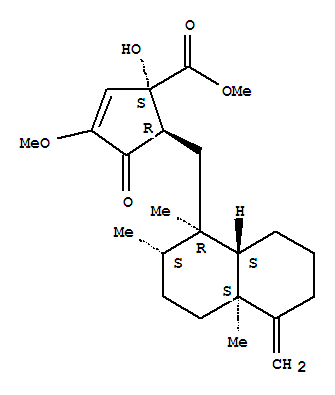 Molecular Structure of 123062-42-0 (2-Cyclopentene-1-carboxylicacid,5-[[(1R,2S,4aS,8aS)-decahydro-1,2,4a-trimethyl-5-methylene-1-naphthalenyl]methyl]-1-hydroxy-3-methoxy-4-oxo-,methyl ester, (1S,5R)-)