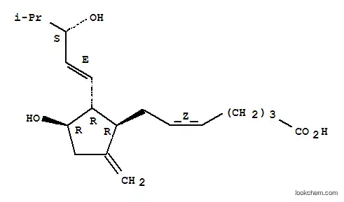 Molecular Structure of 123283-87-4 (9-deoxy-16,16-dimethyl-tetranor-9-methyleneprostaglandin E2)