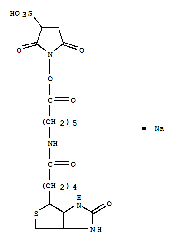 5'-O-DMT-N6-methyl-8-oxoadenosine3'-CEphosphoramidite