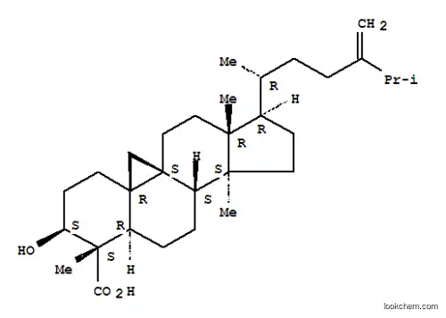 Molecular Structure of 149252-87-9 (1-Dehydroxy-23-deoxojessic acid)