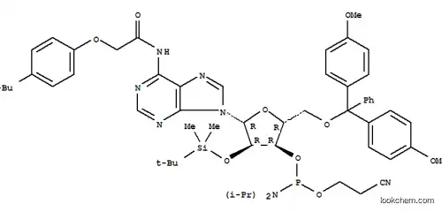 Molecular Structure of 149989-64-0 (DMT-2'O-TBDMS-RA(TAC) AMIDITE 0.5G  AB)