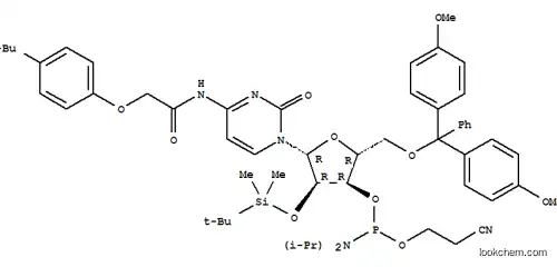 5'-O-(4,4-Dimethoxytrityl)-2'-O-[(tert-butyl)dimethylsilyl]-N-[[4-(tert-butyl)phenoxy]acetyl]cytidine-3'-(2-cyanoethyl-N,N-diisopropyl)phosphoramidite