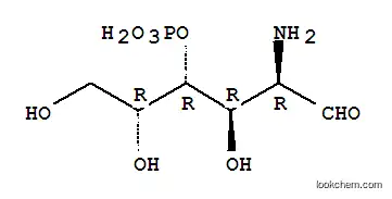 galactosamine-4-phosphate