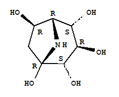 Molecular Structure of 156705-04-3 (8-Azabicyclo[3.2.1]octane-1,2,3,4,6-pentol,(1R,2S,3R,4S,5R,6R)-)