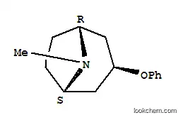 Molecular Structure of 16487-31-3 (8-methyl-3-phenoxy-8-azabicyclo[3.2.1]octane)