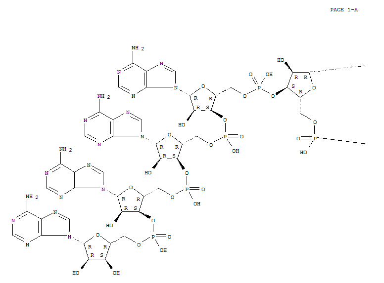 Molecular Structure of 17185-35-2 (Adenosine, adenylyl-(3'®5')-adenylyl-(3'®5')-adenylyl-(3'®5')-adenylyl-(3'®5')-adenylyl-(3'®5')-adenylyl-(3'®5')- (7CI,8CI,9CI))