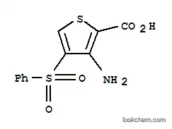 Molecular Structure of 175201-59-9 (3-AMINO-4-(PHENYLSULFONYL)THIOPHENE-2-CARBOXYLIC ACID)