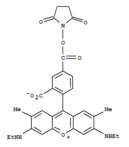 5-Carboxyrhodamine 6G succinimidyl ester cas  209112-21-0