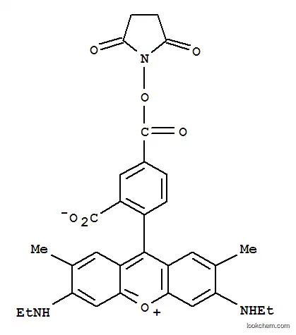 Molecular Structure of 209112-21-0 (5-Carboxyrhodamine 6G succinimidyl ester)