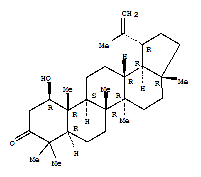 1β-Hydroxylup-20(29)-en-3-one