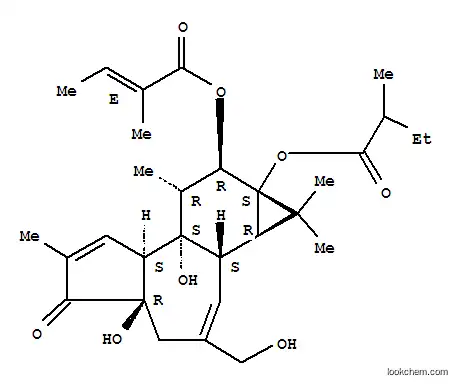 Molecular Structure of 250268-57-6 ((4aR,7bS,8R,9R,9aS)-4a,7b-dihydroxy-3-(hydroxymethyl)-1,1,6,8-tetramethyl-9a-[(2-methylbutanoyl)oxy]-5-oxo-1a,1b,4,4a,5,7a,7b,8,9,9a-decahydro-1H-cyclopropa[3,4]benzo[1,2-e]azulen-9-yl (2Z)-2-methylbut-2-enoate)