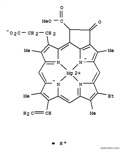 Molecular Structure of 25442-53-9 (magnesium 3-(2-carboxyethyl)-9-ethenyl-14-ethyl-21-(methoxycarbonyl)-4,8,13,18-tetramethyl-3,4,23,25-tetradehydro-21H-phorbin-26-id-20-olate)