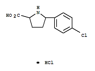 Proline,5-(4-chlorophenyl)-, hydrochloride (9CI) cas  2646-77-7
