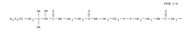 2664-64-4,pantethine 4',4''-diphosphate,Butyramide,N,N'-[dithiobis(ethyleneiminocarbonylethylene)]bis[2,4-dihydroxy-3,3-dimethyl-,4,4'-bis(dihydrogen phosphate) (8CI); Butyramide,N,N'-[dithiobis(ethyleneiminocarbonylethylene)]bis[2,4-dihydroxy-3,3-dimethyl-,4,4'-diphosphate (6CI,7CI); 4',4''-Diphosphopantethine; Pantethine4'-phosphate; Phosphopantethine