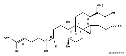 Molecular Structure of 268214-52-4 (Coronalolic acid)
