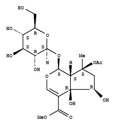 Phlorigidoside B
