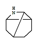 8-Azatricyclo[3.3.0.02,7]octane(8CI,9CI)