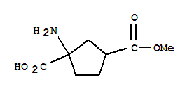 1,3-CYCLOPENTANEDICARBOXYLIC ACID 1-AMINO-,3-METHYL ESTERCAS