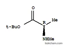 Molecular Structure of 405513-14-6 (N-ME-D-ALA-OTBU HCL)