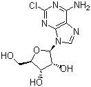 Molecular Structure of 146-77-0 (2-Chloroadenosine)