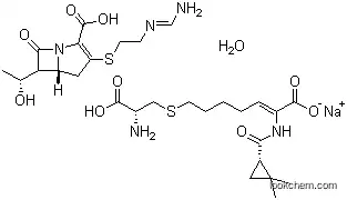 Molecular Structure of 92309-29-0 (Imipenem-Cilastatin sodium hydrate)