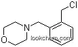 Molecular Structure of 937664-34-1 (4-(2-(chloromethyl)benzyl)morpholine)