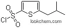Molecular Structure of 958650-96-9 (5-Isobutylthiophene-2-sulfonyl chloride)