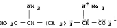 Molecular Structure of 98767-48-7 (2-amino-6-carboxy-6-(trimethylammonio)hexanoate)