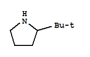 Pyrrolidine,2-(1,1-dimethylethyl)-