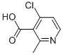 4-CHLORO-2-METHYL-NICOTINIC ACID