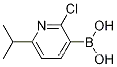 Molecular Structure of 1003043-37-5 (2-CHLORO-6-ISOPROPYLPYRIDINE-3-BORONIC ACID)