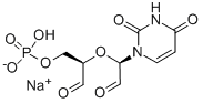 108321-57-9,uridine 5-monophosphate periodate*oxidized sodium,Uridine 5′-monophosphate, periodate oxidized sodium salt;Uridine 5′-monophosphate-2′,3′-dialdehyde