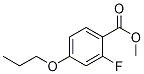1330750-41-8,Methyl 2-fluoro-4-propoxybenzoate,Methyl 2-fluoro-4-propoxybenzoate