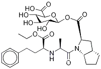 Molecular Structure of 1357570-21-8 (Ramipril Acyl--D-glucuronide, ~ 80% By HPLC)