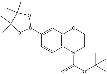 1467057-57-3,tert-butyl 7-(4,4,5,5-tetraMethyl-1,3,2-dioxaborolan-2-yl)-2H-benzo[b][1,4]oxazine-4(3H)-carboxylate,tert-butyl 7-(4,4,5,5-tetraMethyl-1,3,2-dioxaborolan-2-yl)-2H-benzo[b][1,4]oxazine-4(3H)-carboxylate;2,3-dihydro-7-(4,4,5,5-tetramethyl-1,3,2-dioxaborolan-2-yl)-4H-1,4-benzoxazine-4-carboxylic acid 1,1-dimethylethyl ester;tert-Butyl 7-(4,4,5,5-tetramethyl-1,3,2-dioxaborolan-2-yl)-2H-benzo[b][1,4]oxazine-4(3H)-carbo