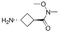 171549-88-5,Cyclobutanecarboxamide, 3-amino-N-methoxy-N-methyl-, trans- (9CI),Cyclobutanecarboxamide, 3-amino-N-methoxy-N-methyl-, trans- (9CI)
