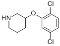 946759-06-4,3-(2,5-DICHLOROPHENOXY)PIPERIDINE,3-(2,5-DICHLOROPHENOXY)PIPERIDINE