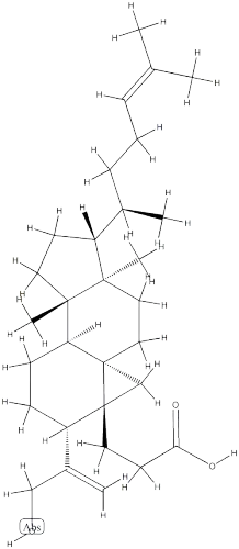 925932-08-7 Structure
