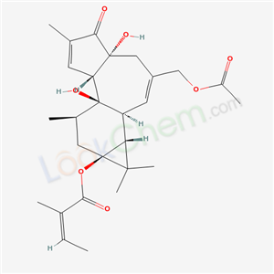 12-DEOXYPHORBOL-13-ANGELATE-20-ACETATE