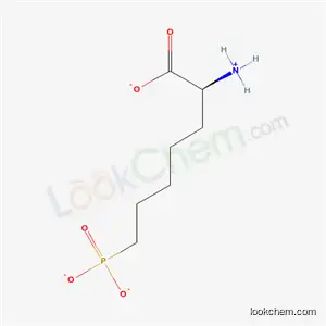 Molecular Structure of 78966-69-5 (DL-2-Amino-7-phosphonoheptanoic acid)