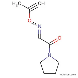 Molecular Structure of 70791-42-3 (Pyrrolidine, 1-[[(2-propynyloxy)imino]acetyl]-)