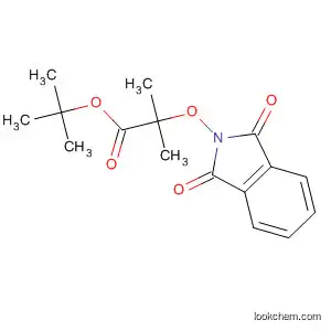 Molecular Structure of 76028-85-8 (Propanoic acid,
2-[(1,3-dihydro-1,3-dioxo-2H-isoindol-2-yl)oxy]-2-methyl-,
1,1-dimethylethyl ester)