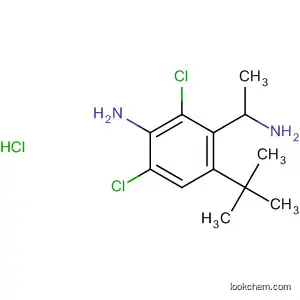 Molecular Structure of 78982-48-6 (Benzeneethanamine, 4-amino-3,5-dichloro-N-(1,1-dimethylethyl)-,
monohydrochloride)
