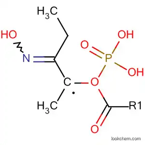 Molecular Structure of 88184-64-9 (Phosphonic acid, [2-(hydroxyimino)propyl]-, dimethyl ester)