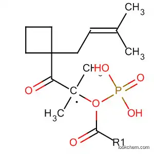 Molecular Structure of 89056-48-4 (Phosphonic acid, [2-[1-(3-methyl-2-butenyl)cyclobutyl]-2-oxoethyl]-,
dimethyl ester)