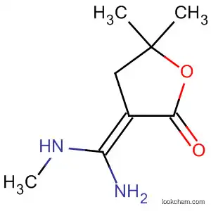 Molecular Structure of 89810-25-3 (2(3H)-Furanone,
3-[amino(methylamino)methylene]dihydro-5,5-dimethyl-, (E)-)